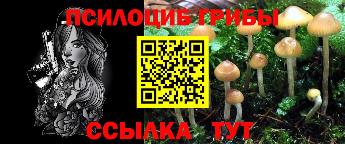 Псилоцибиновые грибы GOLDEN TEACHER Буйнакск